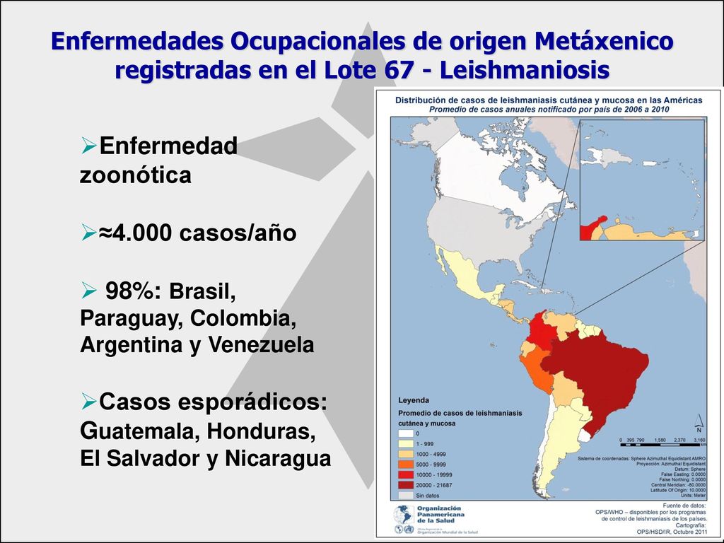 Enfermedades Ocupacionales de origen Metáxenico registradas en el Lote 67 - Leishmaniosis
