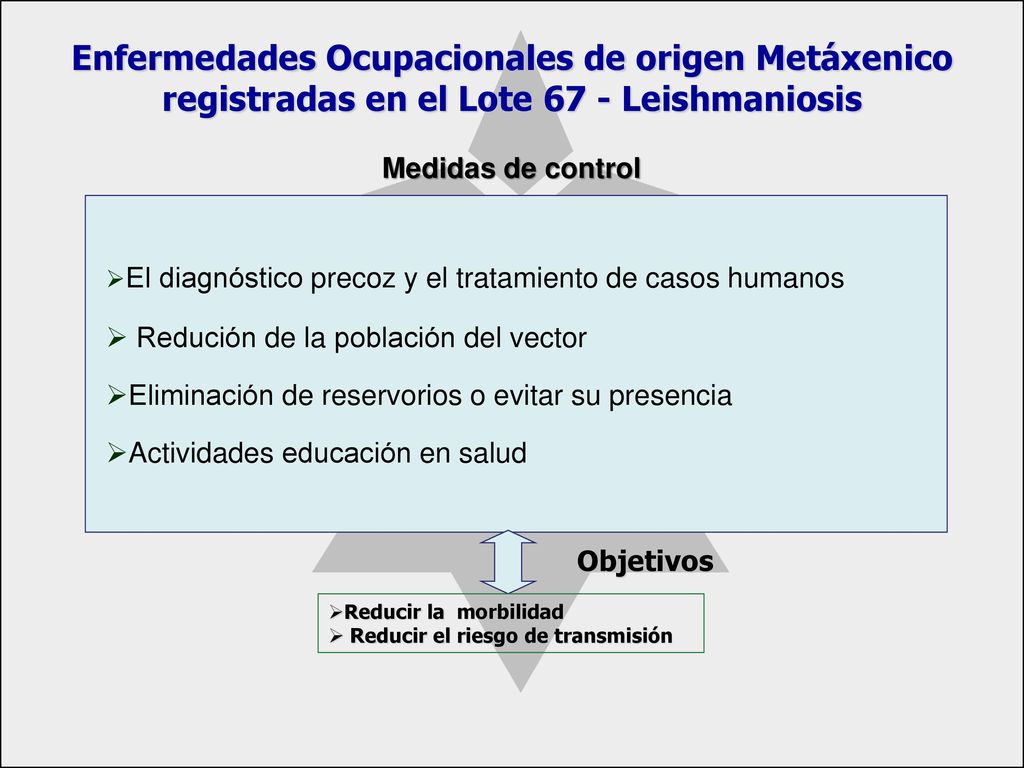 Enfermedades Ocupacionales de origen Metáxenico registradas en el Lote 67 - Leishmaniosis