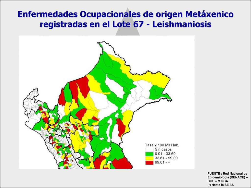 Enfermedades Ocupacionales de origen Metáxenico registradas en el Lote 67 - Leishmaniosis