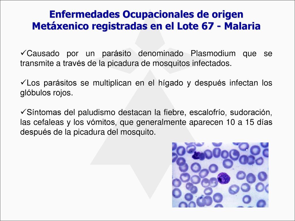 Enfermedades Ocupacionales de origen Metáxenico registradas en el Lote 67 - Malaria