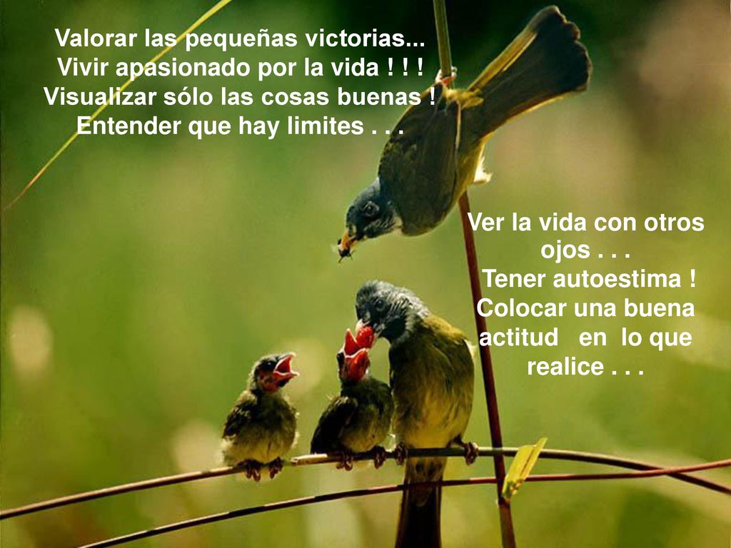 Valorar las pequeñas victorias... Vivir apasionado por la vida ! ! !