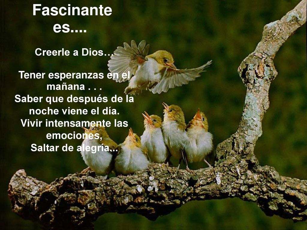Fascinante es.... Creerle a Dios… Tener esperanzas en el mañana . . .