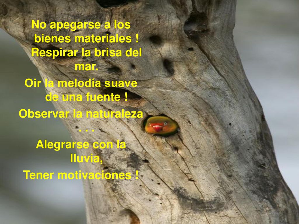 No apegarse a los bienes materiales ! Respirar la brisa del mar.