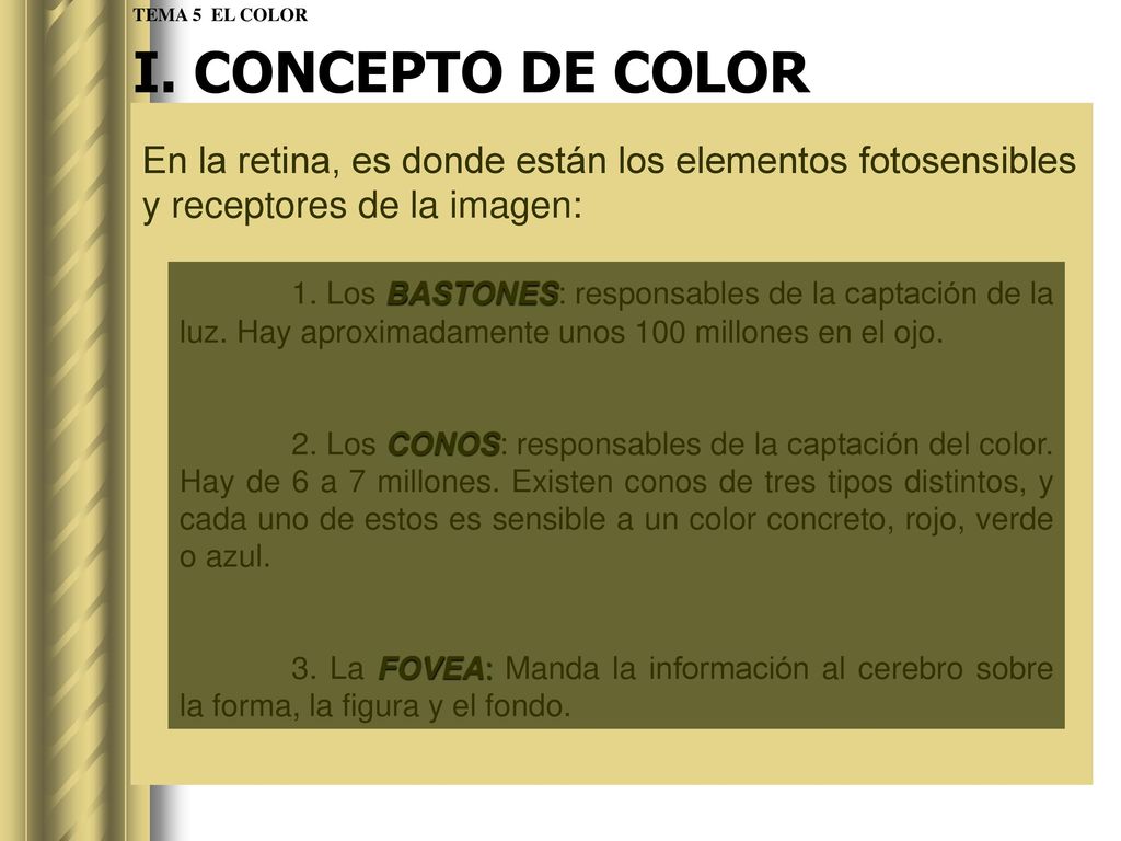 TEMA 5 EL COLOR I. CONCEPTO DE COLOR. En la retina, es donde están los elementos fotosensibles y receptores de la imagen: