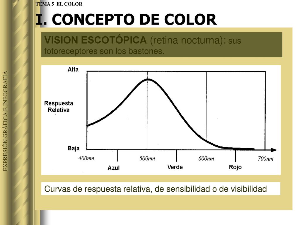 I. CONCEPTO DE COLOR TEMA 5 EL COLOR. VISION ESCOTÓPICA (retina nocturna): sus fotoreceptores son los bastones.
