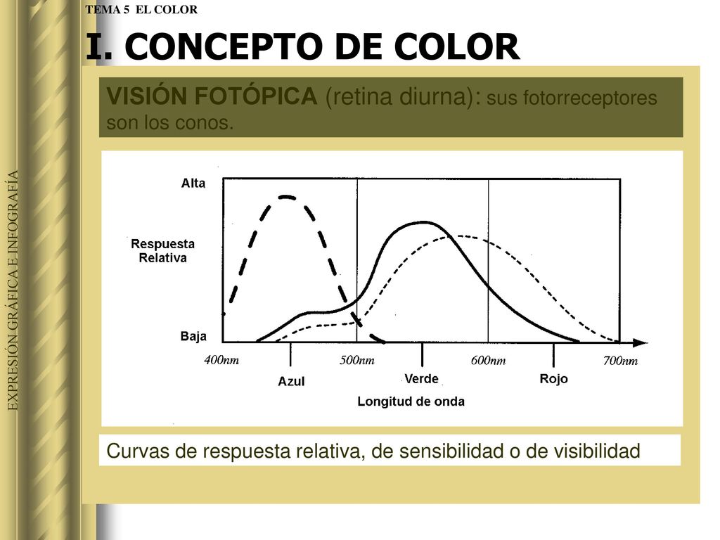I. CONCEPTO DE COLOR TEMA 5 EL COLOR. VISIÓN FOTÓPICA (retina diurna): sus fotorreceptores son los conos.