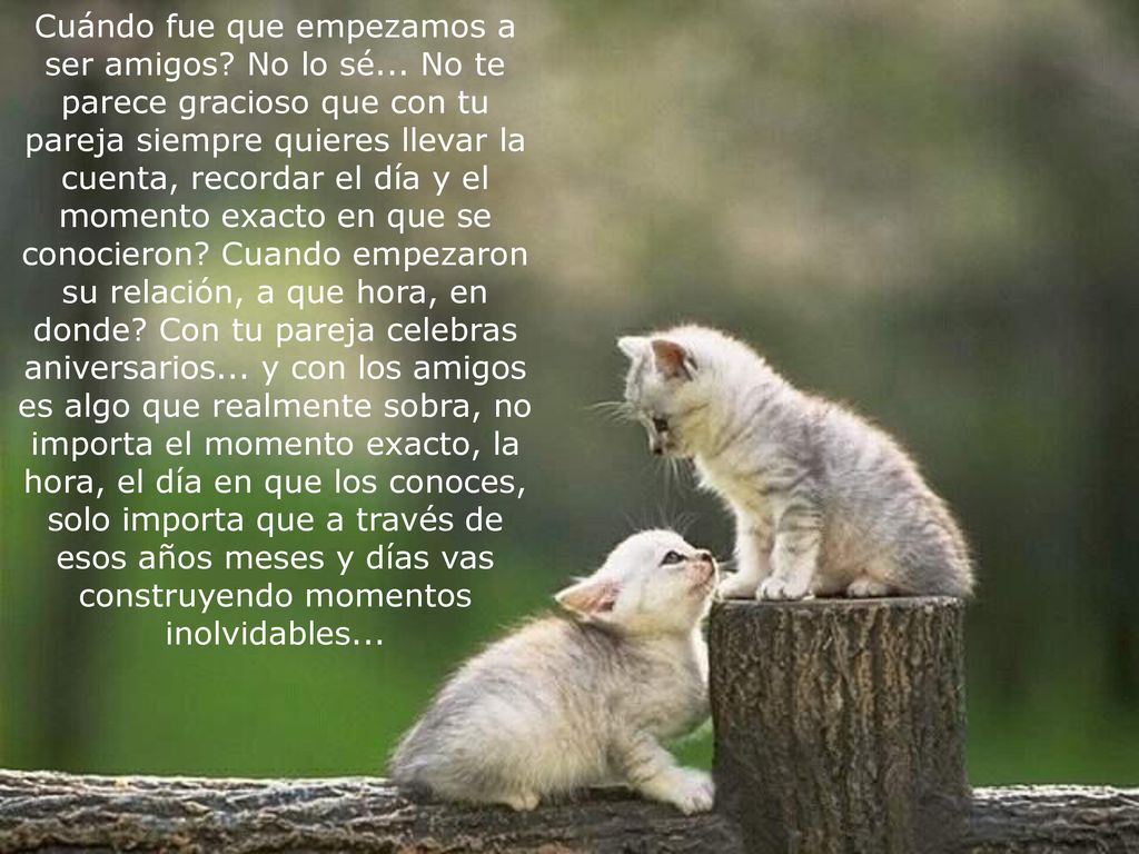 Cuándo fue que empezamos a ser amigos. No lo sé