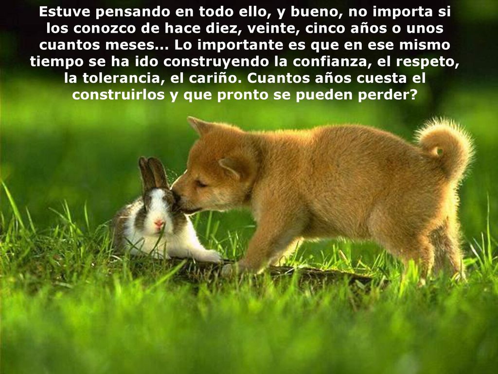 Estuve pensando en todo ello, y bueno, no importa si los conozco de hace diez, veinte, cinco años o unos cuantos meses...