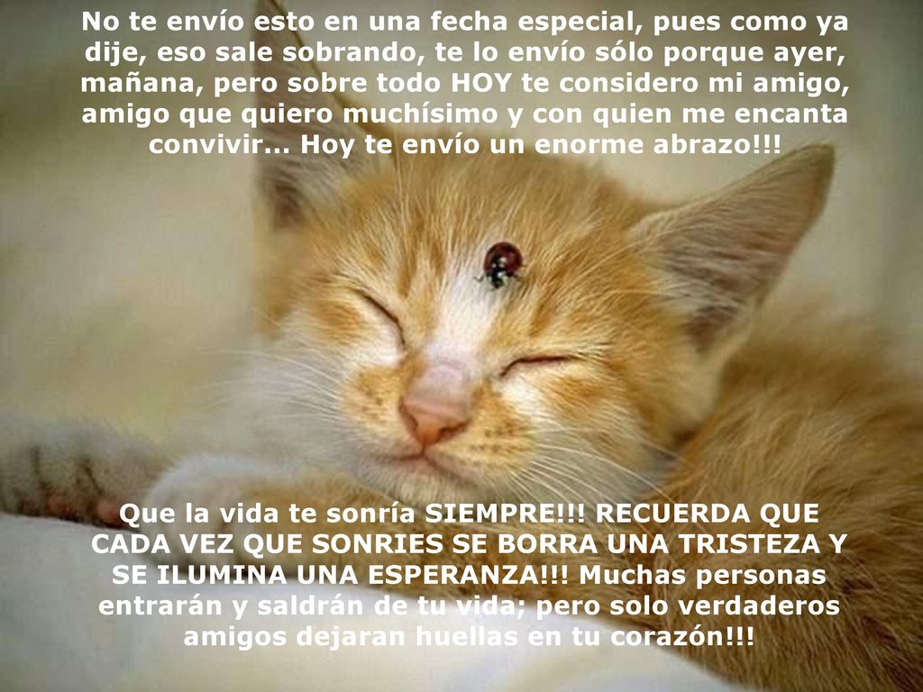 No te envío esto en una fecha especial, pues como ya dije, eso sale sobrando, te lo envío sólo porque ayer, mañana, pero sobre todo HOY te considero mi amigo, amigo que quiero muchísimo y con quien me encanta convivir... Hoy te envío un enorme abrazo!!!