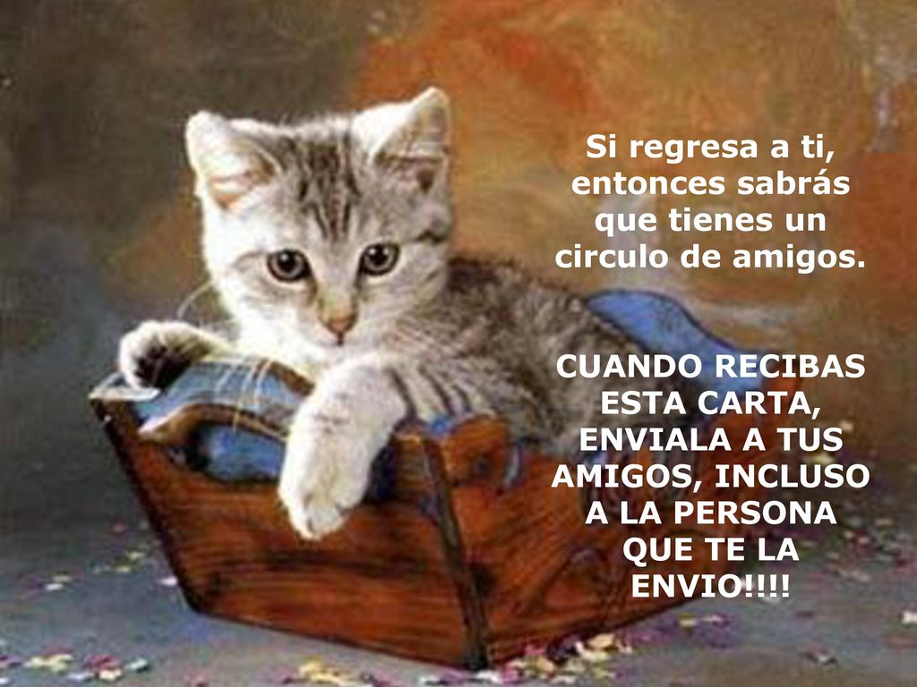 Si regresa a ti, entonces sabrás que tienes un circulo de amigos.
