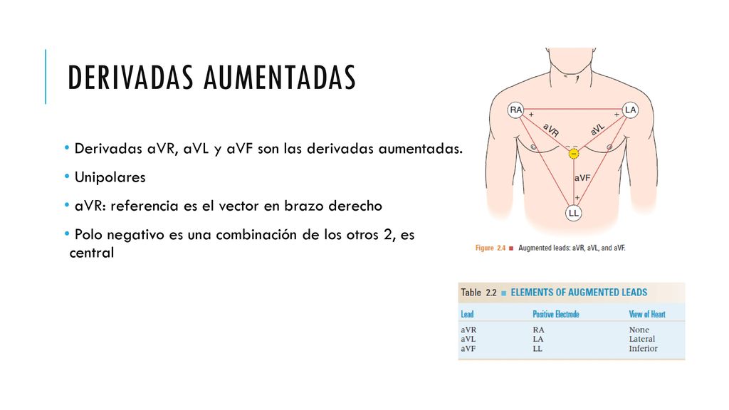 Derivadas aumentadas Derivadas aVR, aVL y aVF son las derivadas aumentadas. Unipolares. aVR: referencia es el vector en brazo derecho.