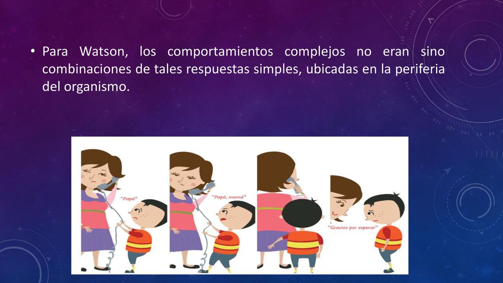Para Watson, los comportamientos complejos no eran sino combinaciones de tales respuestas simples, ubicadas en la periferia del organismo.