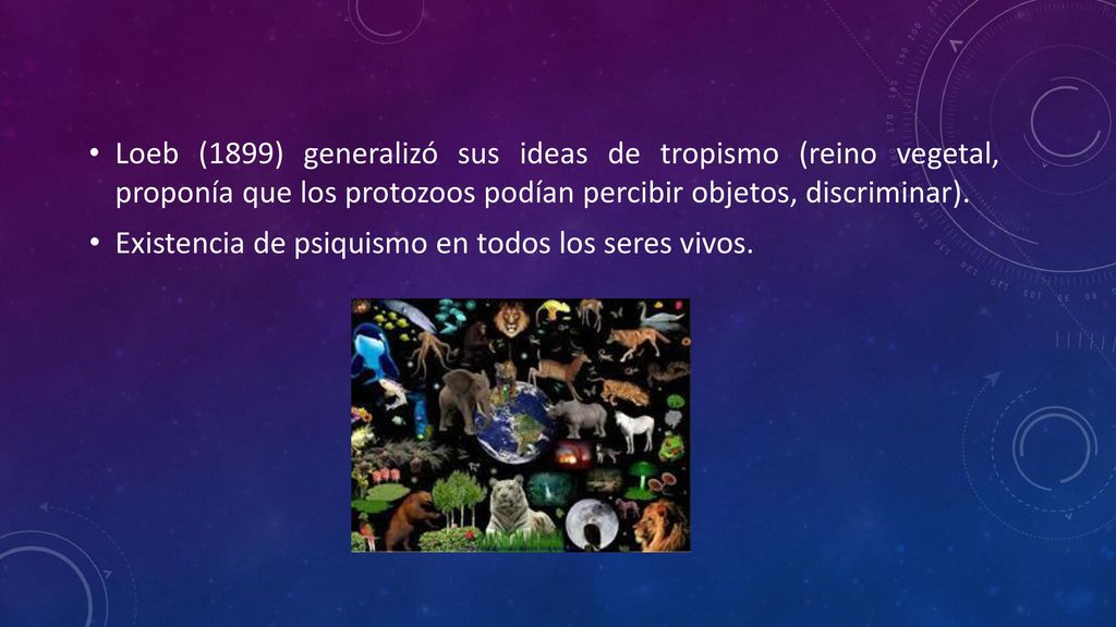 Loeb (1899) generalizó sus ideas de tropismo (reino vegetal, proponía que los protozoos podían percibir objetos, discriminar).