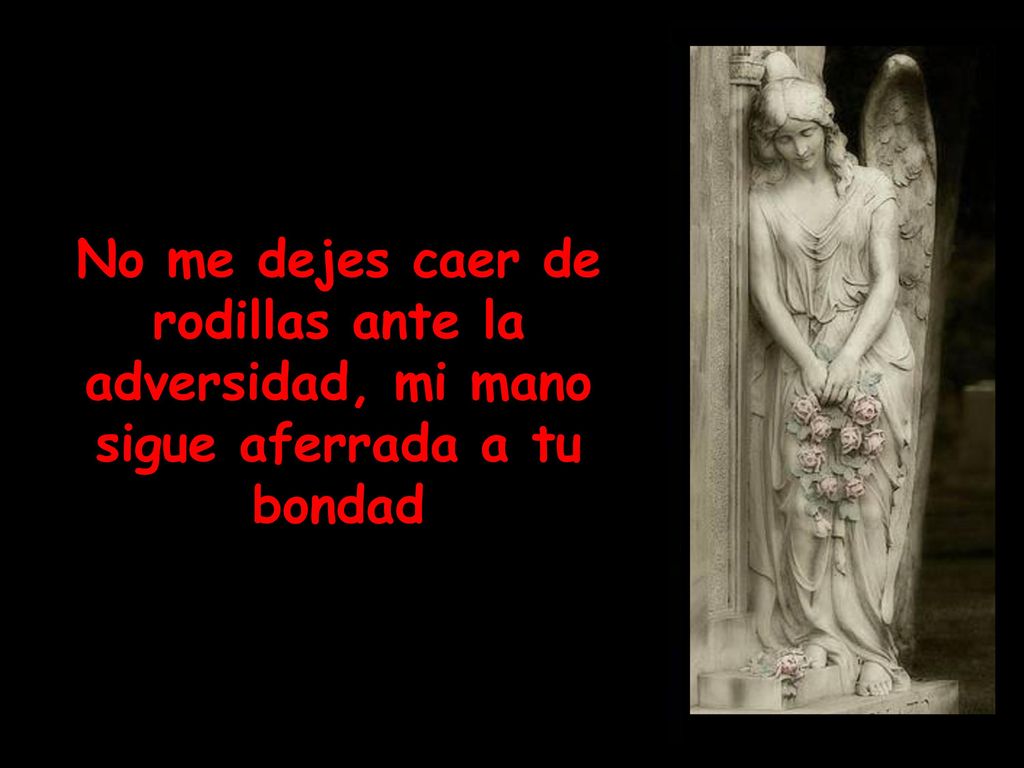 No me dejes caer de rodillas ante la adversidad, mi mano sigue aferrada a tu bondad