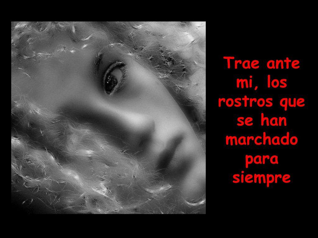 Trae ante mi, los rostros que se han marchado para siempre