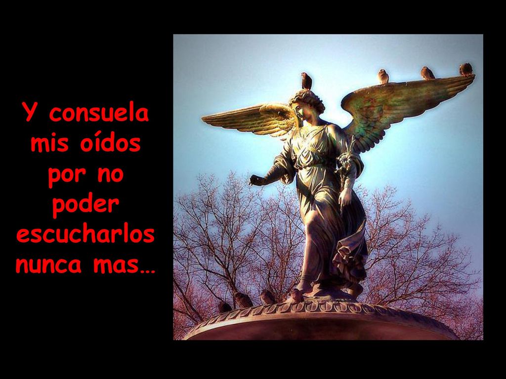 Y consuela mis oídos por no poder escucharlos nunca mas…