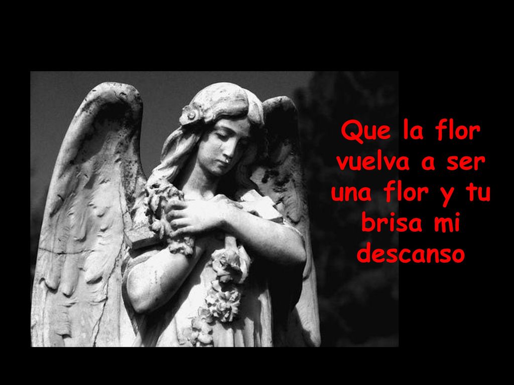 Que la flor vuelva a ser una flor y tu brisa mi descanso