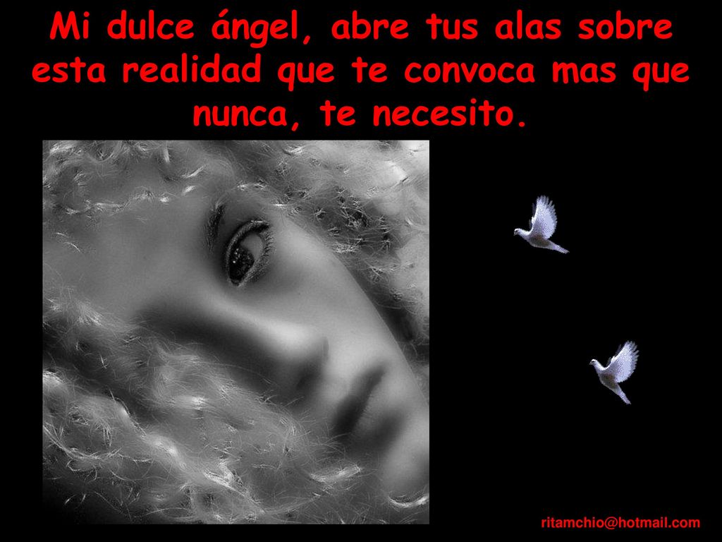 Mi dulce ángel, abre tus alas sobre esta realidad que te convoca mas que nunca, te necesito.