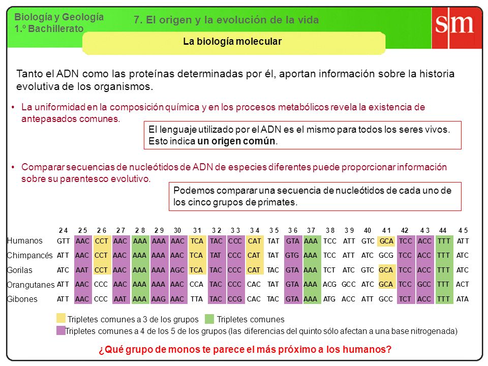 7. El origen y la evolución de la vida