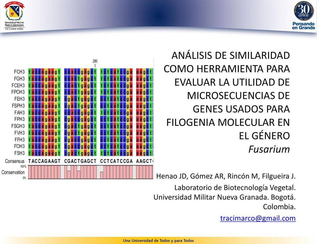 ANÁLISIS DE SIMILARIDAD COMO HERRAMIENTA PARA EVALUAR LA UTILIDAD DE MICROSECUENCIAS DE GENES USADOS PARA FILOGENIA MOLECULAR EN EL GÉNERO Fusarium
