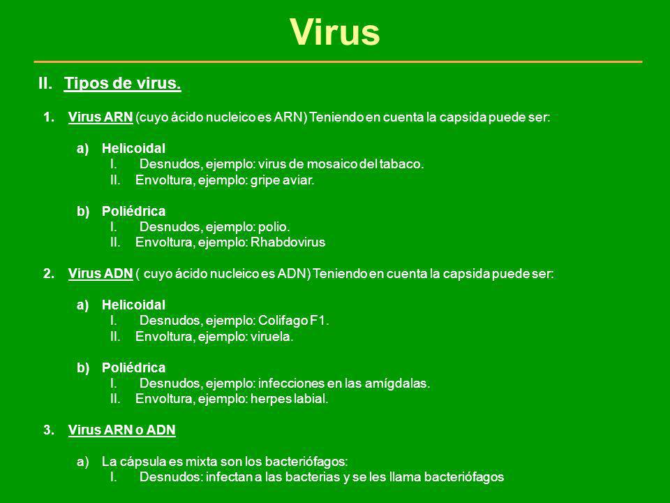 Virus Tipos de virus. Virus ARN (cuyo ácido nucleico es ARN) Teniendo en cuenta la capsida puede ser: