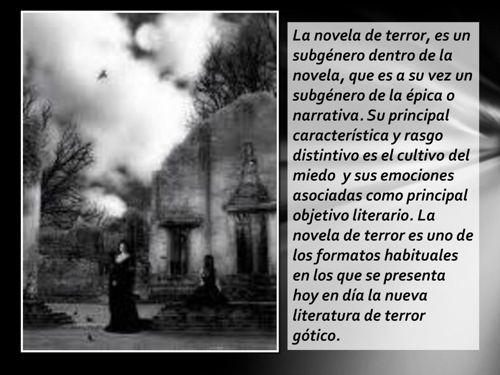 La novela de terror, es un subgénero dentro de la novela, que es a su vez un subgénero de la épica o narrativa. Su principal característica y rasgo distintivo es el cultivo del miedo y sus emociones asociadas como principal objetivo literario. La novela de terror es uno de los formatos habituales en los que se presenta hoy en día la nueva literatura de terror gótico.