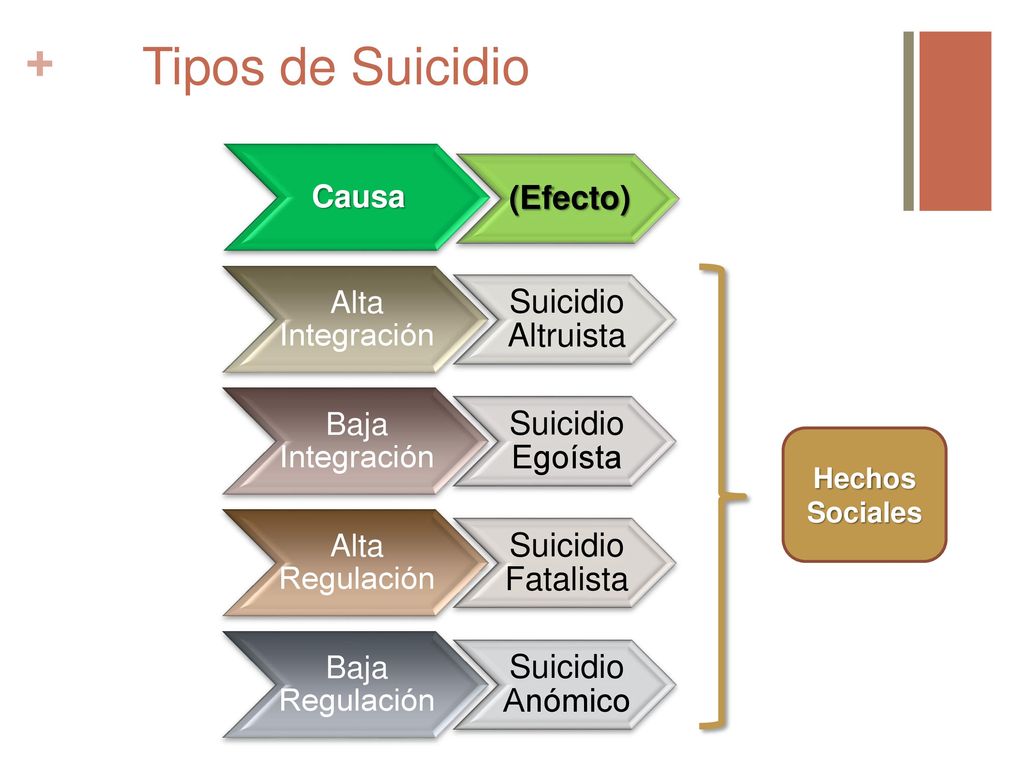 Tipos de Suicidio (Efecto) Suicidio Altruista Suicidio Egoísta