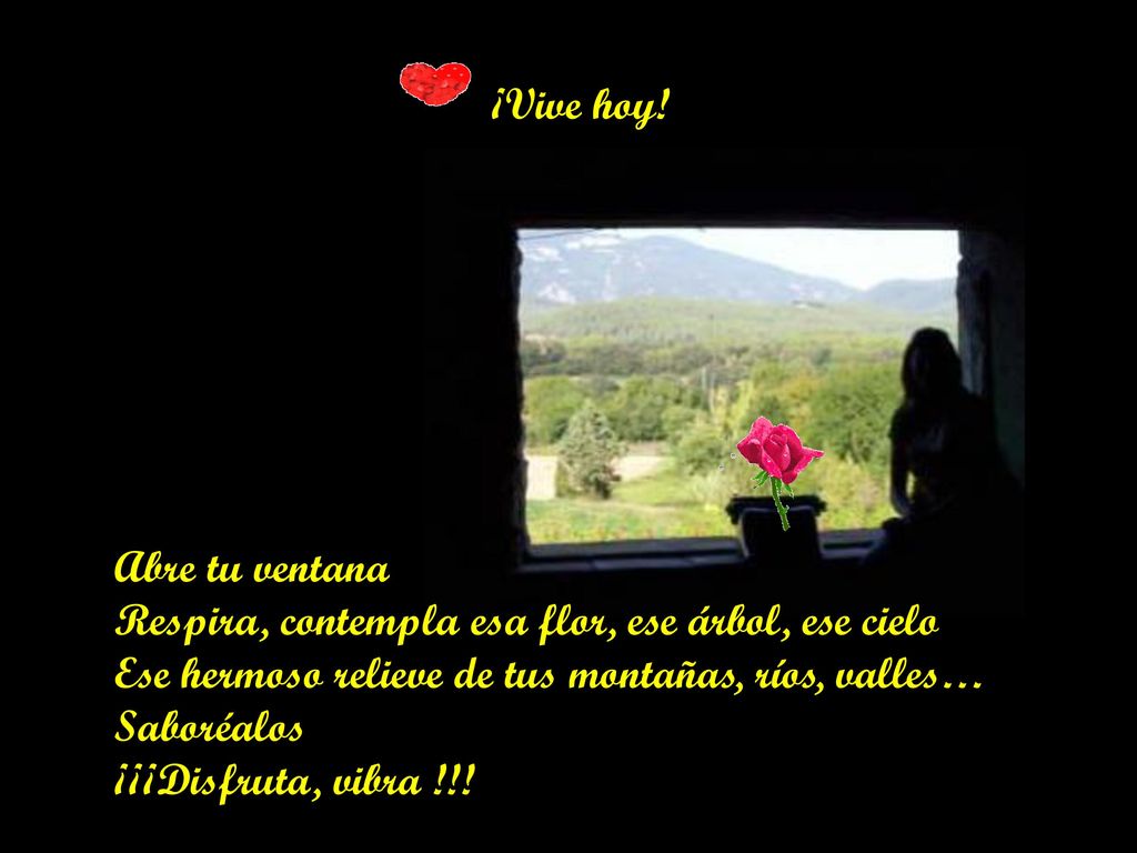 ¡Vive hoy! Abre tu ventana. Respira, contempla esa flor, ese árbol, ese cielo. Ese hermoso relieve de tus montañas, ríos, valles…