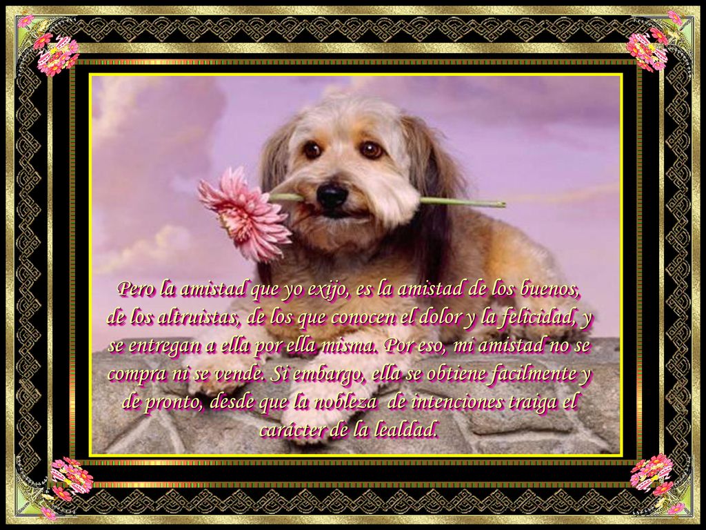 Pero la amistad que yo exijo, es la amistad de los buenos, de los altruistas, de los que conocen el dolor y la felicidad, y se entregan a ella por ella misma.
