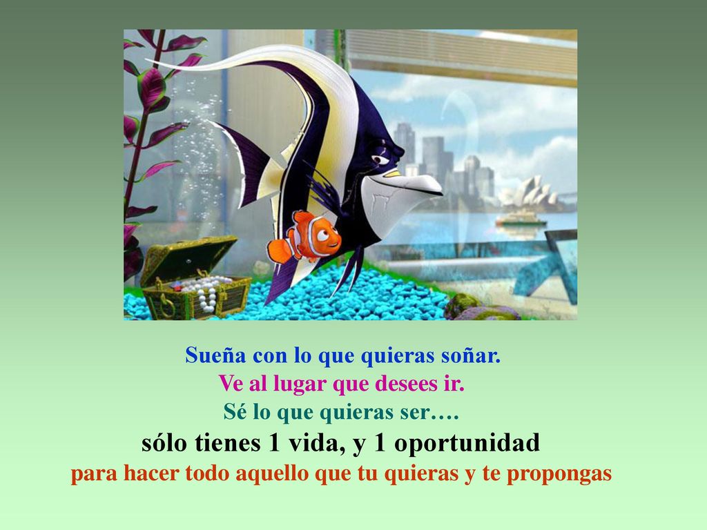 Sueña con lo que quieras soñar. Ve al lugar que desees ir