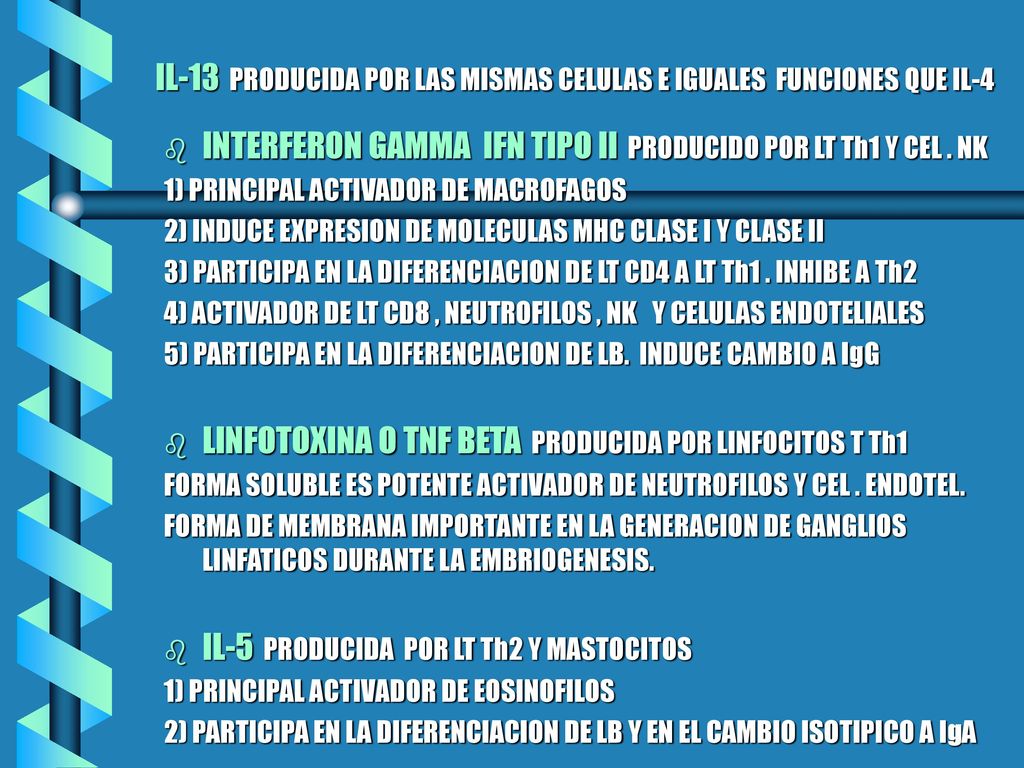 IL-13 PRODUCIDA POR LAS MISMAS CELULAS E IGUALES FUNCIONES QUE IL-4