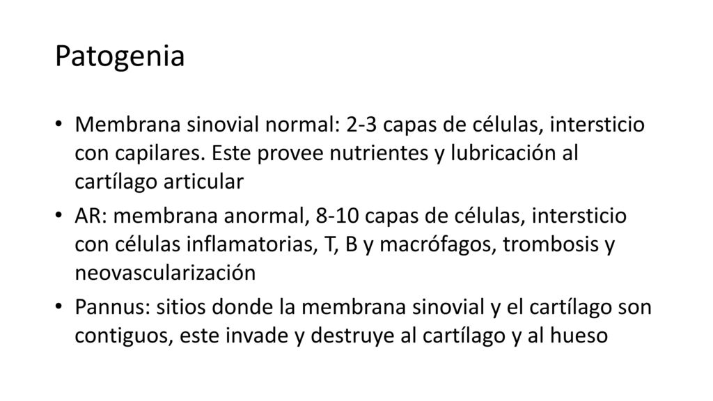Patogenia Membrana sinovial normal: 2-3 capas de células, intersticio con capilares. Este provee nutrientes y lubricación al cartílago articular.