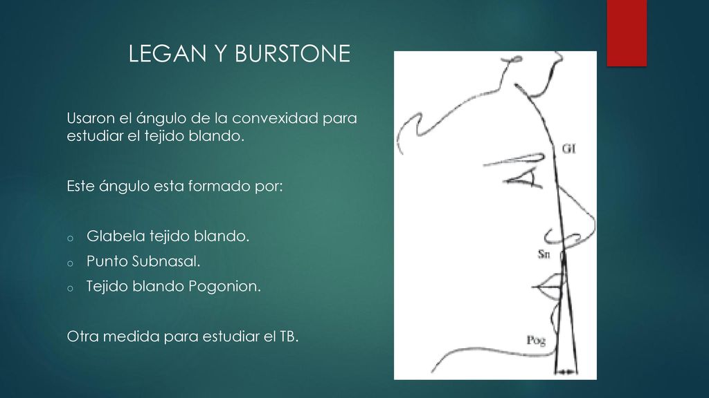 LEGAN Y BURSTONE Usaron el ángulo de la convexidad para estudiar el tejido blando. Este ángulo esta formado por: