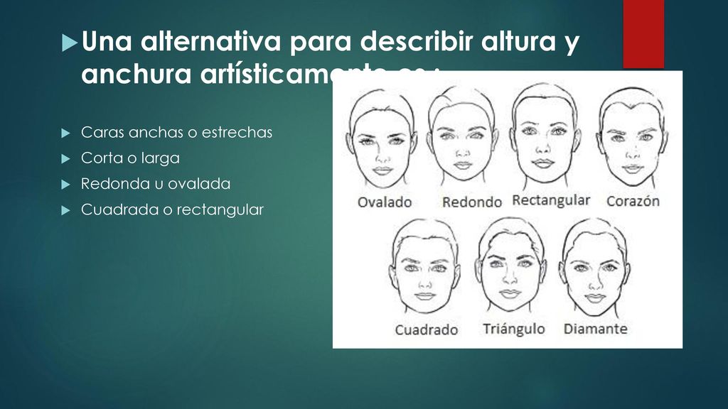 Una alternativa para describir altura y anchura artísticamente es :