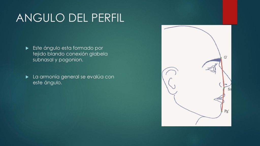 ANGULO DEL PERFIL Este ángulo esta formado por tejido blando conexión glabela subnasal y pogonion.