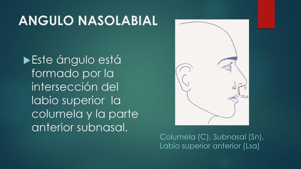 ANGULO NASOLABIAL Este ángulo está formado por la intersección del labio superior la columela y la parte anterior subnasal.
