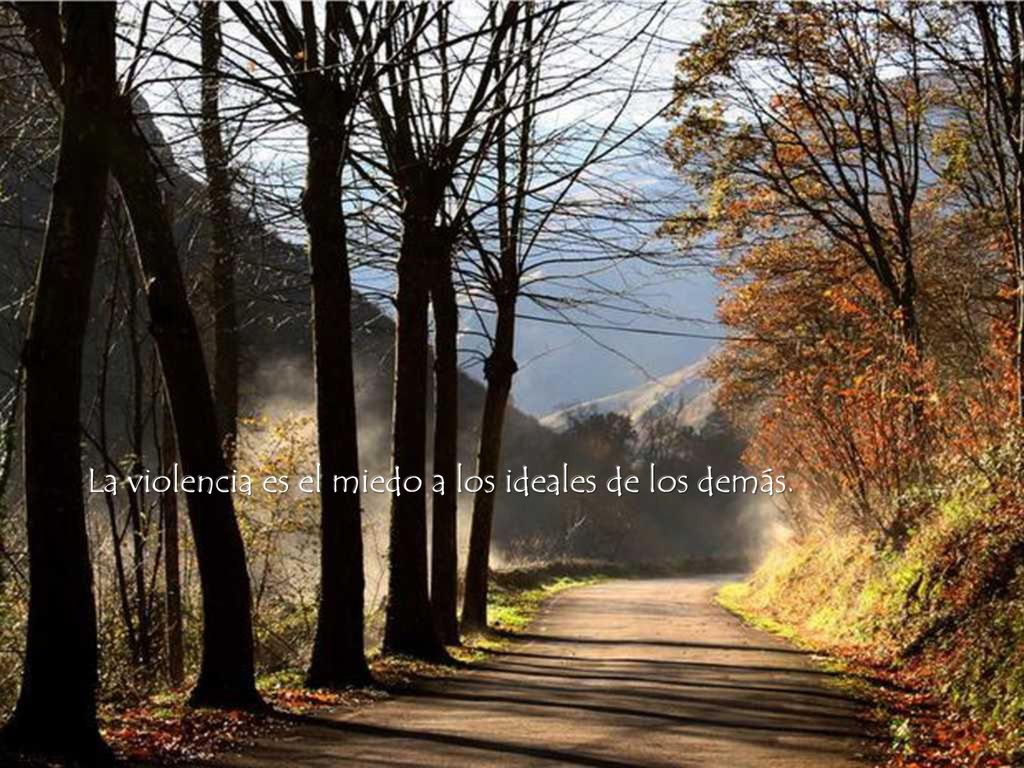 La violencia es el miedo a los ideales de los demás.