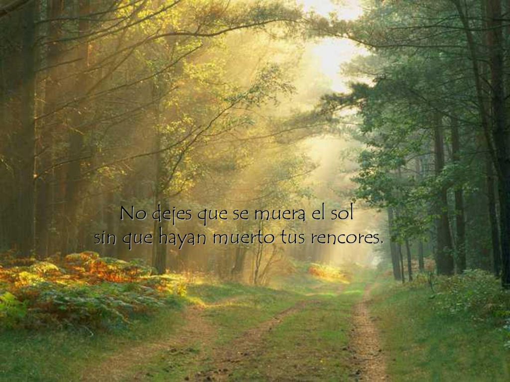 No dejes que se muera el sol sin que hayan muerto tus rencores.
