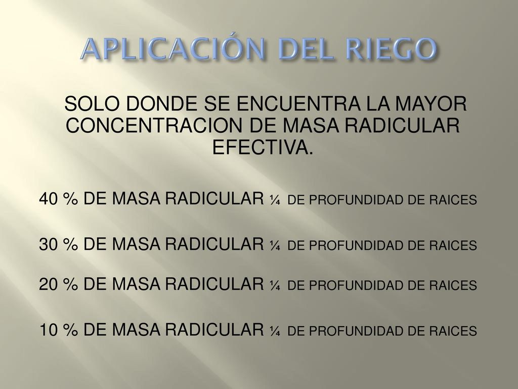 APLICACIÓN DEL RIEGO SOLO DONDE SE ENCUENTRA LA MAYOR CONCENTRACION DE MASA RADICULAR EFECTIVA. 40 % DE MASA RADICULAR ¼ DE PROFUNDIDAD DE RAICES.