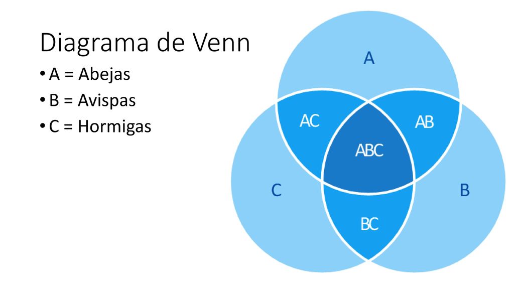 Diagrama de Venn A = Abejas B = Avispas C = Hormigas