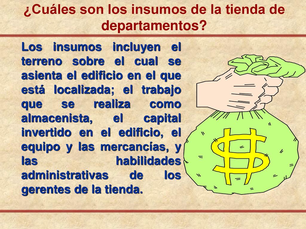 ¿Cuáles son los insumos de la tienda de departamentos