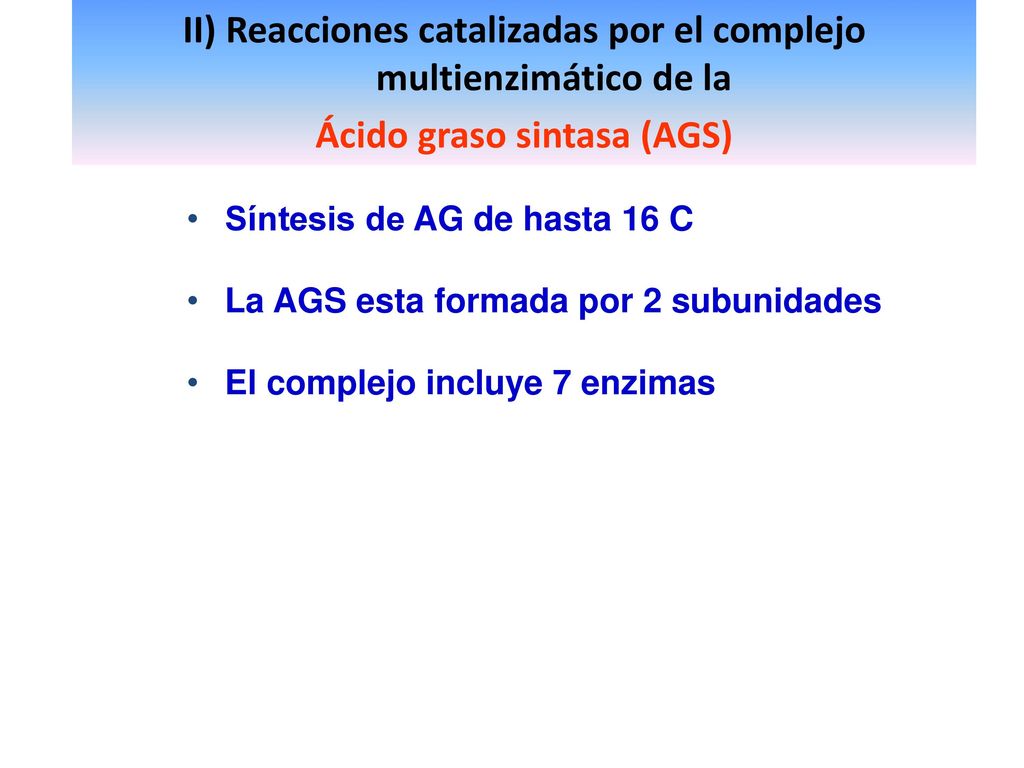II) Reacciones catalizadas por el complejo multienzimático de la
