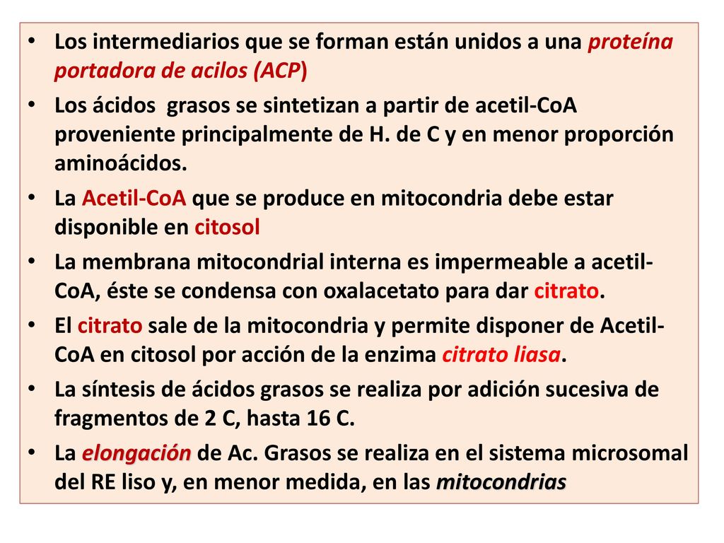 Los intermediarios que se forman están unidos a una proteína portadora de acilos (ACP)