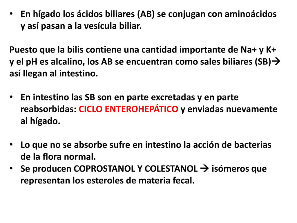 En hígado los ácidos biliares (AB) se conjugan con aminoácidos y así pasan a la vesícula biliar.