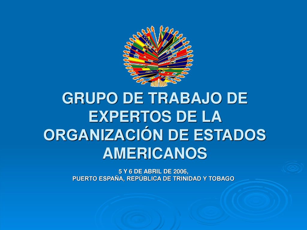 GRUPO DE TRABAJO DE EXPERTOS DE LA ORGANIZACIÓN DE ESTADOS AMERICANOS