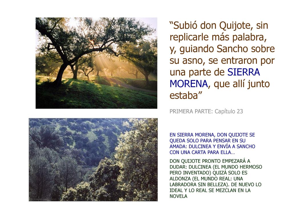 Subió don Quijote, sin replicarle más palabra, y, guiando Sancho sobre su asno, se entraron por una parte de SIERRA MORENA, que allí junto estaba