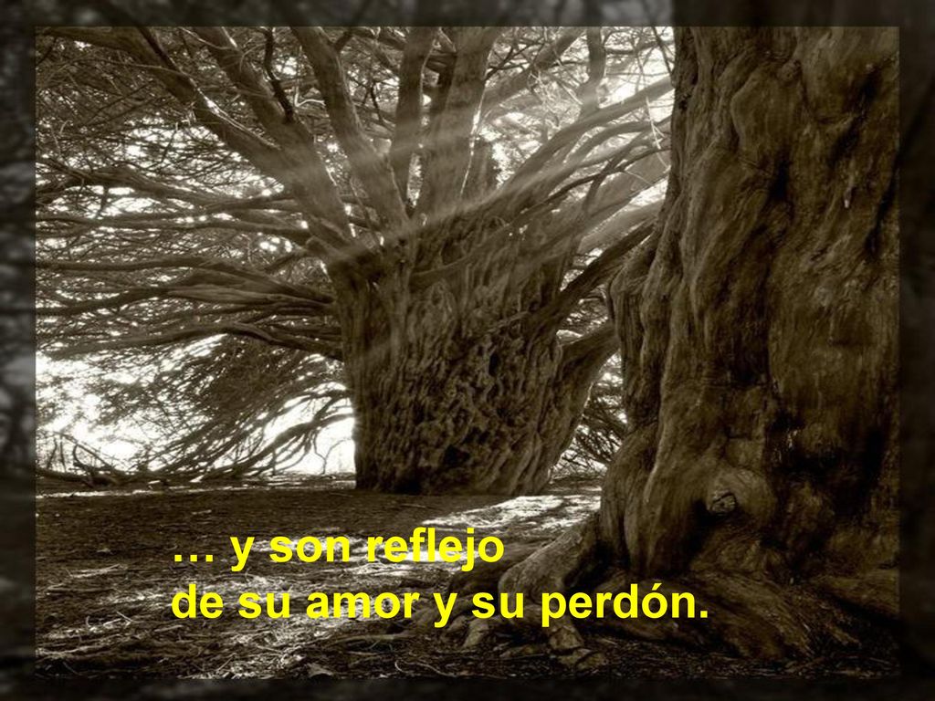 … y son reflejo de su amor y su perdón.