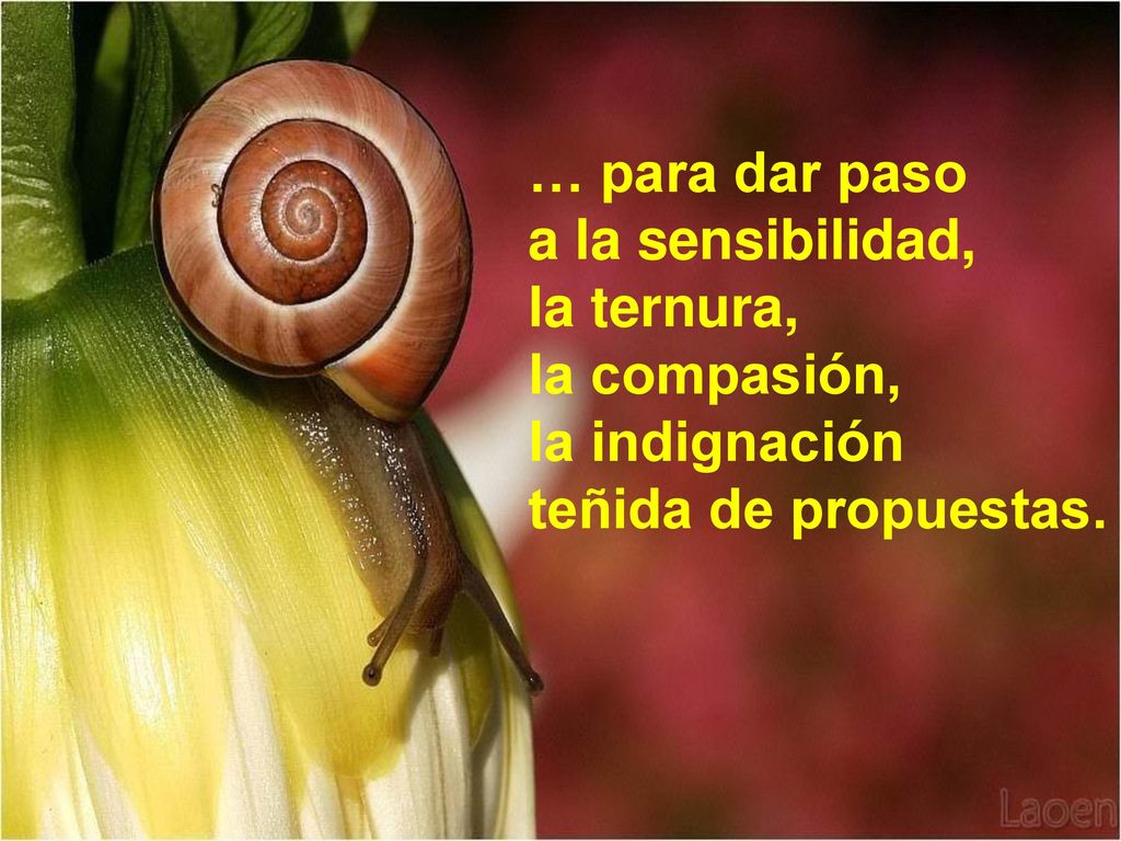 … para dar paso a la sensibilidad, la ternura, la compasión, la indignación teñida de propuestas.