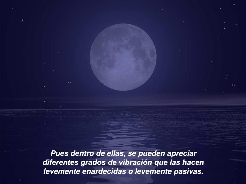 Pues dentro de ellas, se pueden apreciar diferentes grados de vibración que las hacen levemente enardecidas o levemente pasivas.