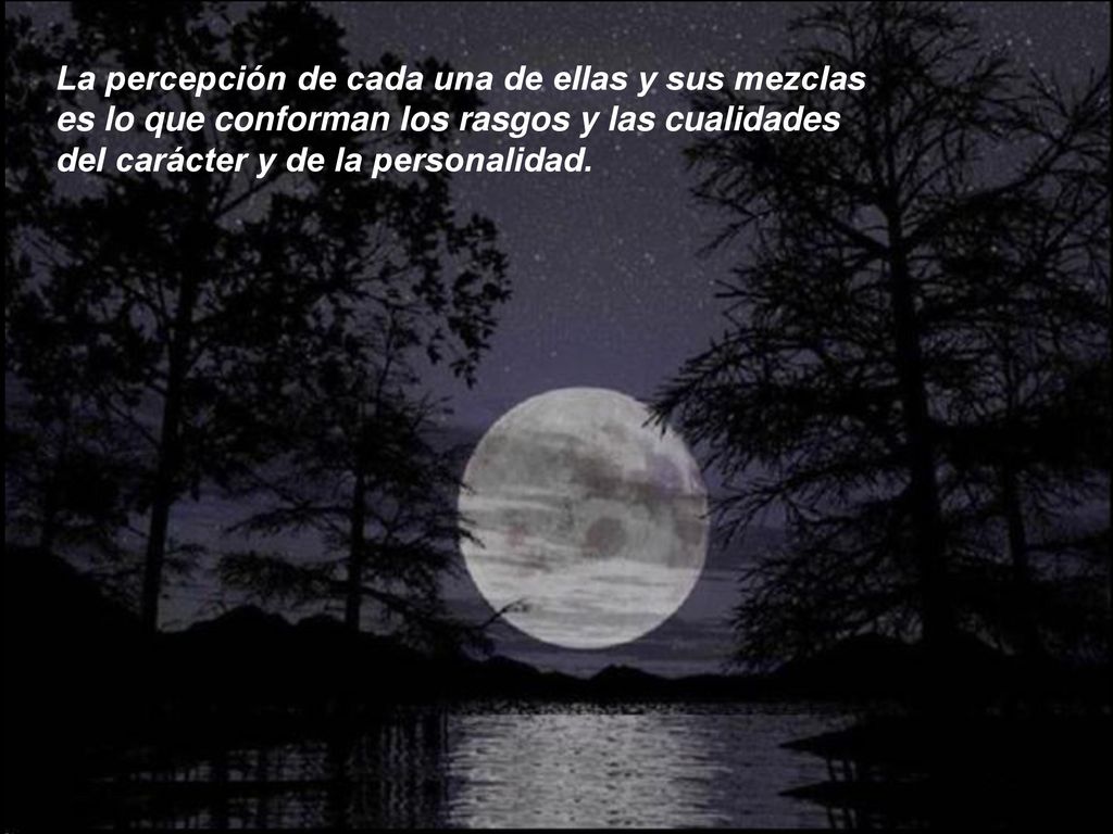 La percepción de cada una de ellas y sus mezclas es lo que conforman los rasgos y las cualidades del carácter y de la personalidad.